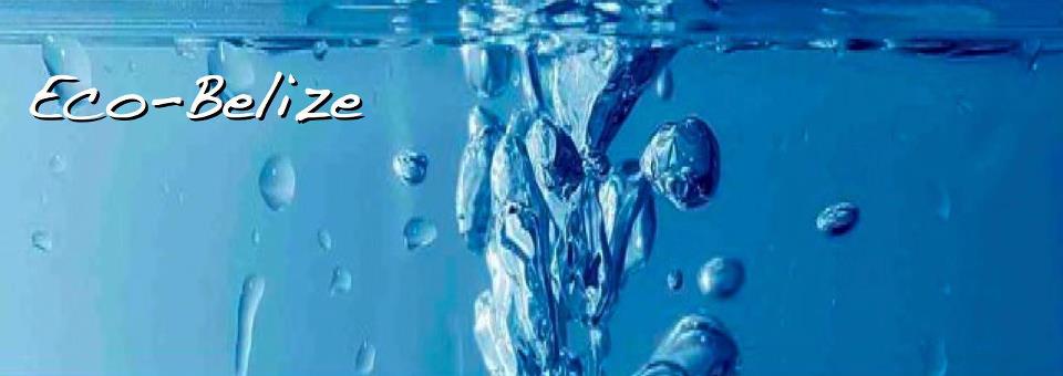 ECO Belize